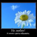 ���� �������, ����� - ��������� 13 ������ 2021 � ������ ���� ����������