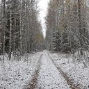 ���� ���������, ���������, 71 ��� - ��������� 23 ������� 2021 � ������ ������ ��������