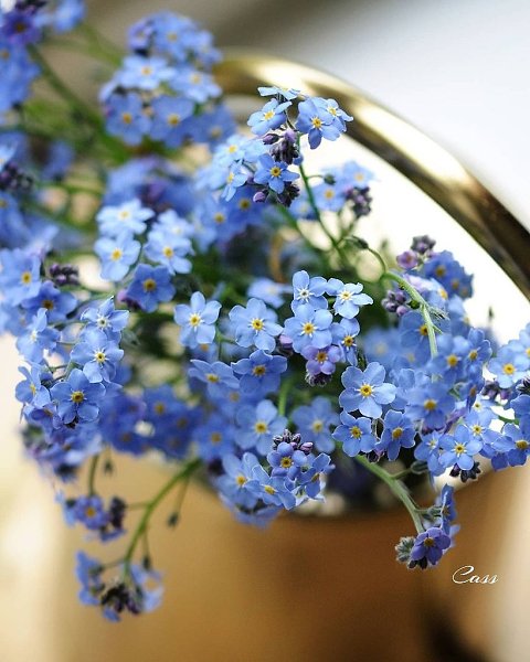 �������� �������! - 27 ������ 2021 � 17:18