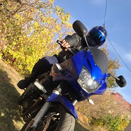 ������, ������, 51 ���