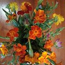 ���� �������, �������, 51 ��� - ��������� 25 ���� 2021 � ������ ���� ����������