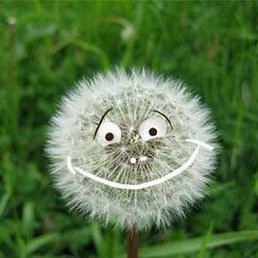 ���� ������, ������, 53 ���� - ��������� 10 ���� 2021