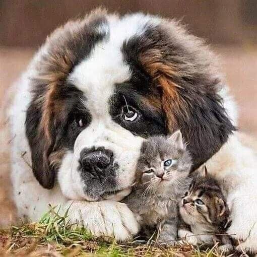 ������ - 19 ���� 2021 � 22:47