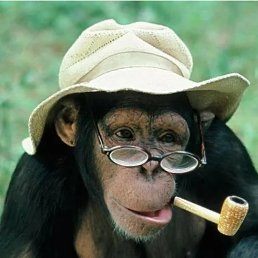  Sergey, --, 52  -  21  2021