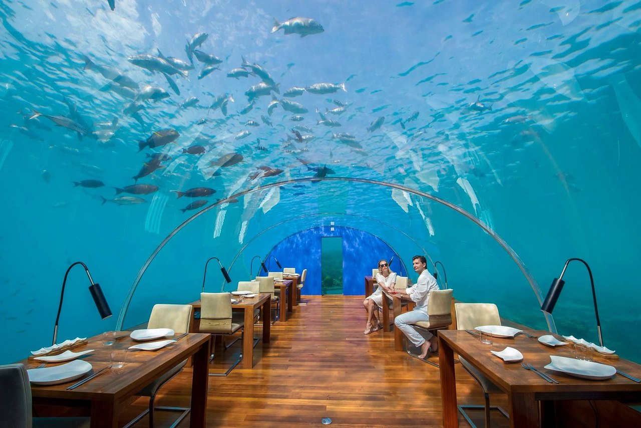 Ресторан Ithaa Мальдивы. Conrad Maldives Rangali Island, Мальдивы. Подводный ресторан Ithaa. Подводный ресторан Ithaa на Мальдивах. Москва подводные камни