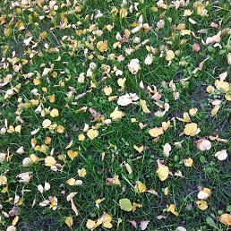 ������, �������, 57 ���