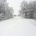  ,  -  29  2021    