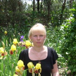 ������, �������, 46 ���