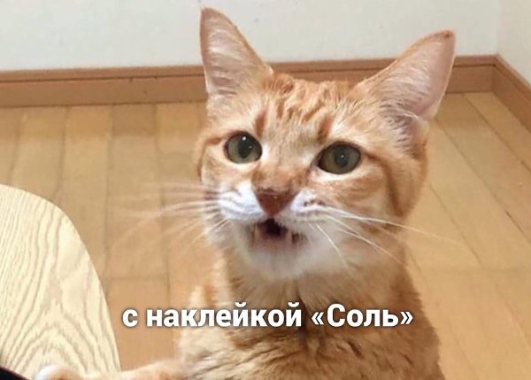,   - - 3