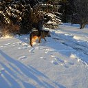 ���� �������, ������� - ��������� 28 �������� 2021 � ������ ���� ����������