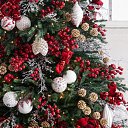 ���� �������, ��, �������� - ��������� 27 ������� 2021 � ������ ���� ����������