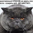 ���� �����, ��������� - ��������� 17 ������� 2021 � ������ ������ ��������