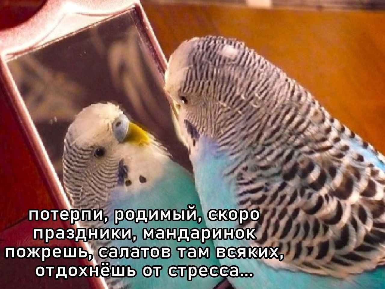 �������� ������ ����-����, �� � ��� �� ������.������� ����������