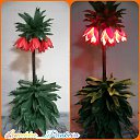 ���� ������, �����������, 64 ���� - ��������� 10 ��� 2021 � ������ ���� ����������