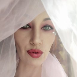 �, ���������, 48 ���