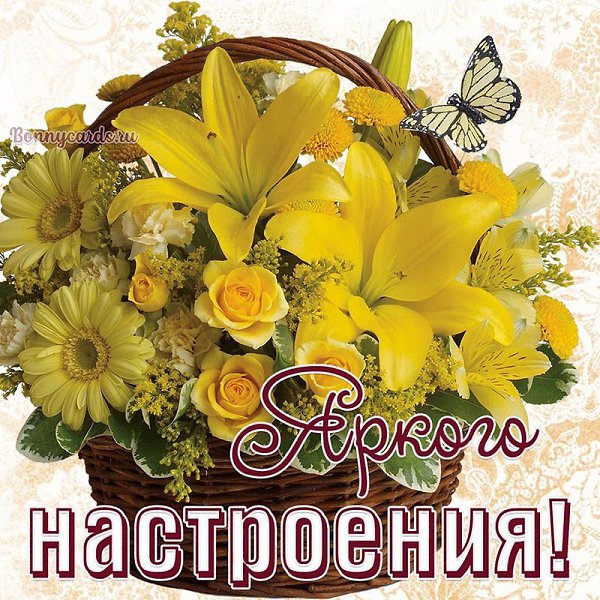 ����������� � ���������, �������� �� ������ ����. - 28 ������� 2021 � 00:48 - 2