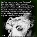 ���� �����, ���������, 54 ���� - ��������� 14 �������� 2021 � ������ ������ ��������