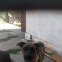 ���� ����, ����, 47 ��� - ��������� 23 �������� 2021 � ������ ���� ����������