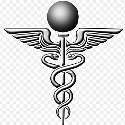 ����, ����, 40 ���