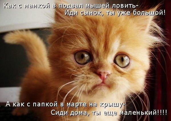    - 21  2021  20:38