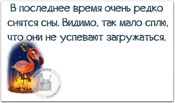 ������ ����� - 26 ����� 2021 � 14:52