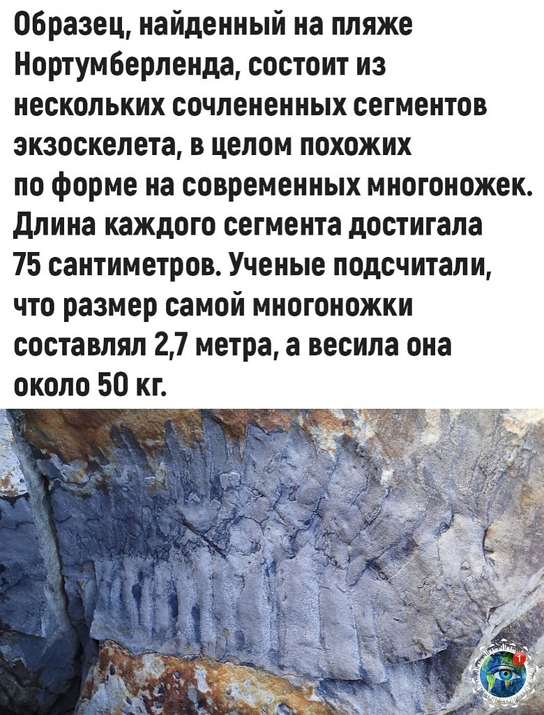 opoo, o a ceo  oaeeoc... - 2