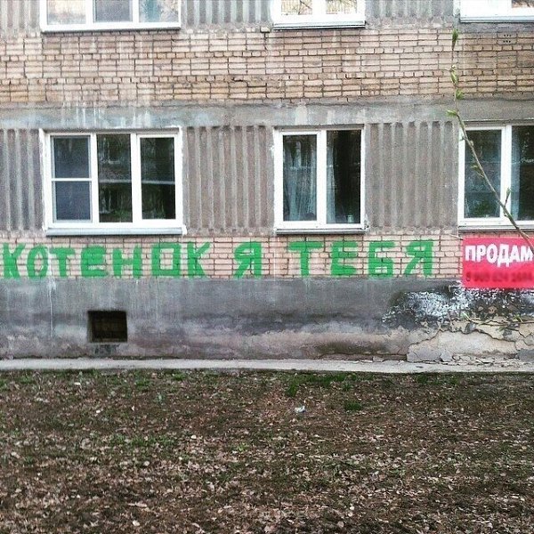 �� ������� � ��� ����.