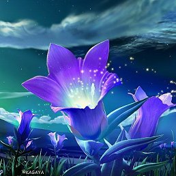 V.l, �����, 46 ���