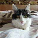 ���� Sergey, ����-�����������, 49 ��� - ��������� 21 ���� 2021 � ������ ���� ����������