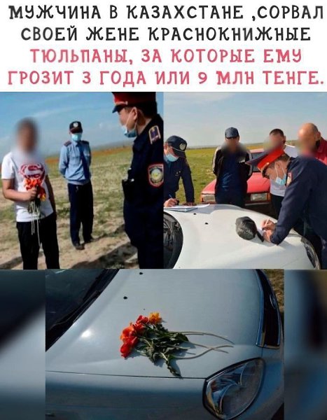   ,  -   ...