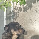 ���� �� ������� ���� ����������