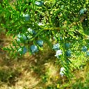 ���� Lyubov, ������ - ��������� 3 ������� 2022 � ������ ������ ��������