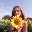 ���� �����, ������ - ��������� 19 ������� 2021