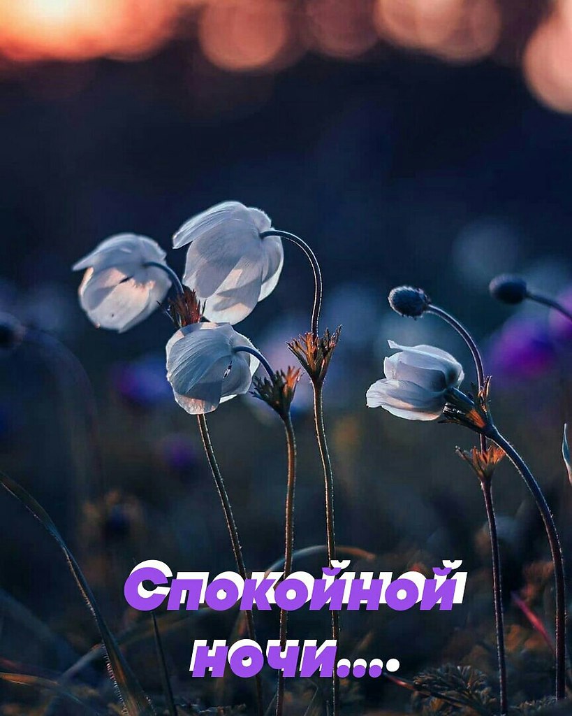   ,    . - 29  2021  22:38 - 3
