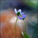 ���� �-��-��-�-�, ����� - ��������� 8 ��� 2021 � ������ ���� ����������