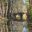 ���� �������, �����, 64 ���� - ��������� 6 ������� 2021 � ������ �������