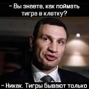 ���� ��������, ������� - ��������� 28 ������� 2021 � ������ ������ ��������