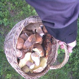 ���, ��������, 36 ���