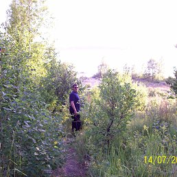 ���������, ������, 65 ���