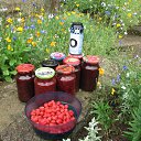 ���� ����, ������������ - ��������� 16 ���� 2021 � ������ ����� 2021�