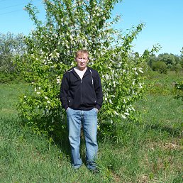 �������, �������, 66 ���