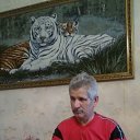 ���� ����, ����������, 63 ���� - ��������� 17 ���� 2021 � ������ ���� ����������