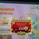 ���� * ��*, ����, 50 ��� - ��������� 20 ��� 2021 � ������ ���� ����������