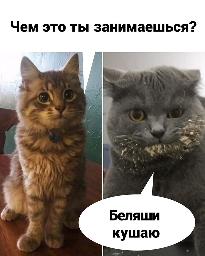 ������� �������, ���� ������������.�������