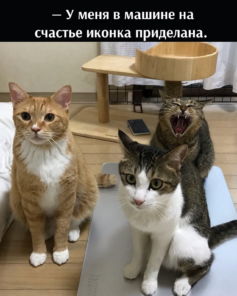 ��� ���� � ����� �� �� - 10 �������� 2021 � 16:37