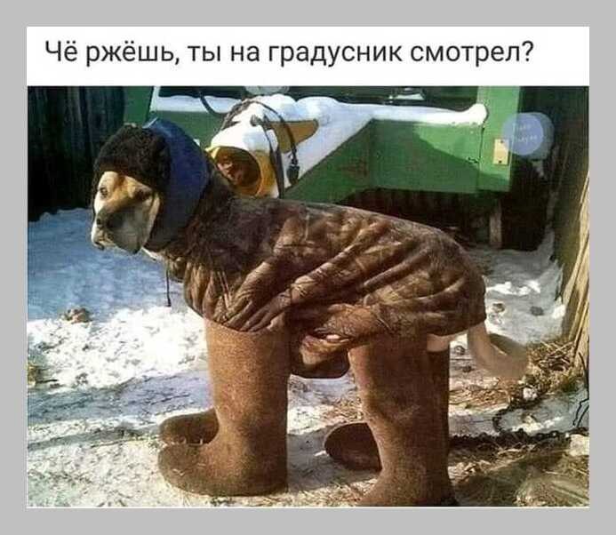  - 21  2021  19:13