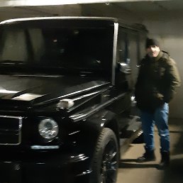 ����, �����-���������, 54 ����