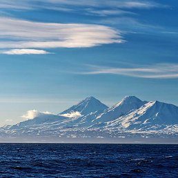 �������, ������, 44 ����