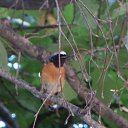  ,  -  2  2021      2019