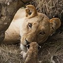 ���� �����, ������������ - ��������� 15 ���� 2021 � ������ ���� ����������